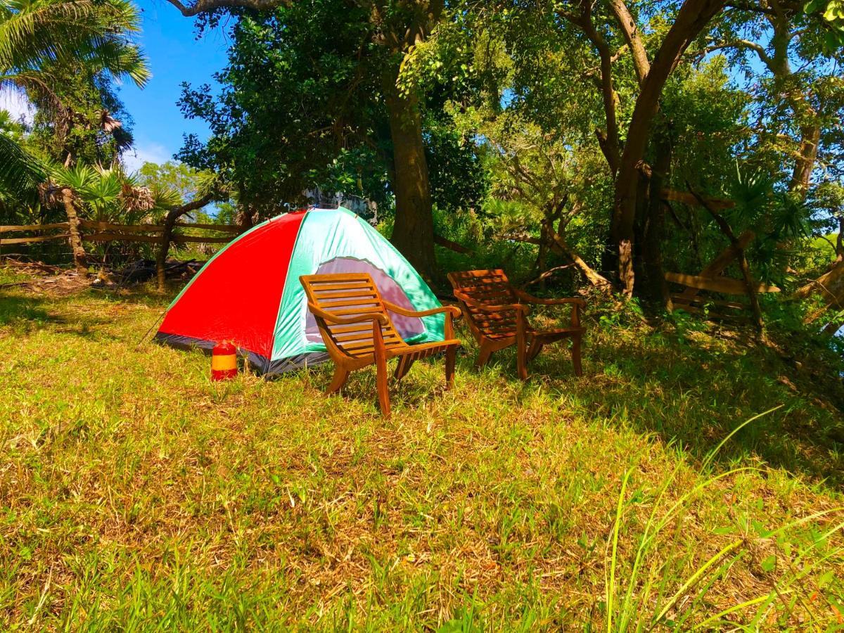 Wilpattu Green Cabin Achchamulai Eksteriør billede