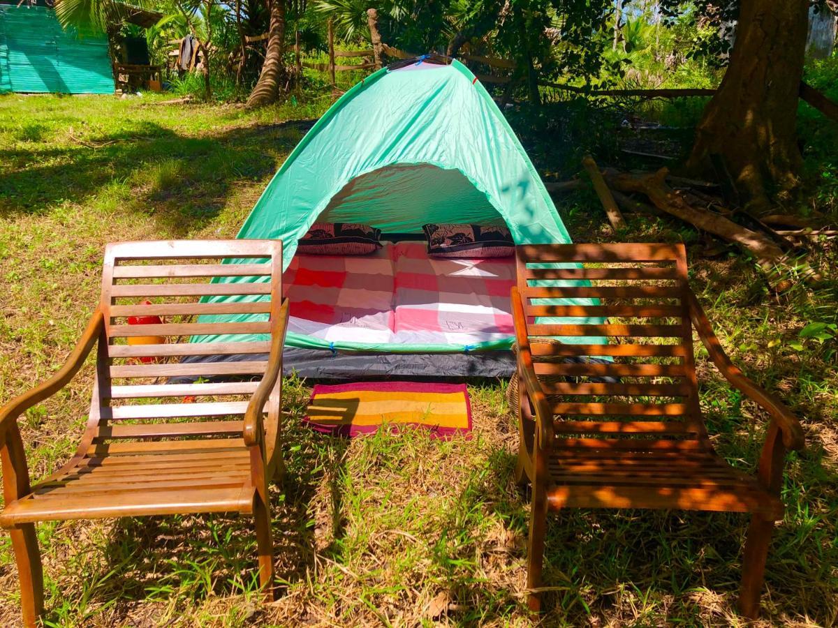 Wilpattu Green Cabin Achchamulai Eksteriør billede