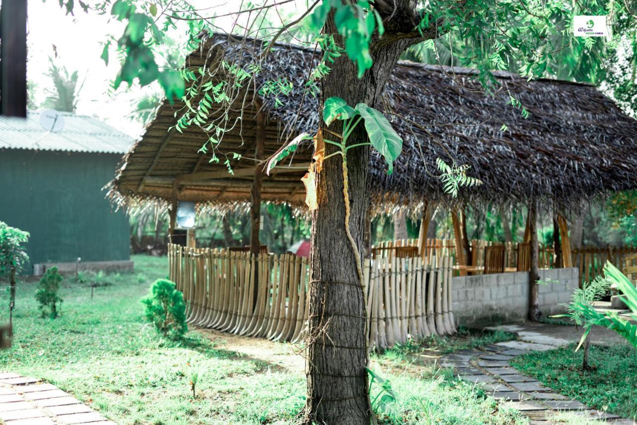 Wilpattu Green Cabin Achchamulai Eksteriør billede