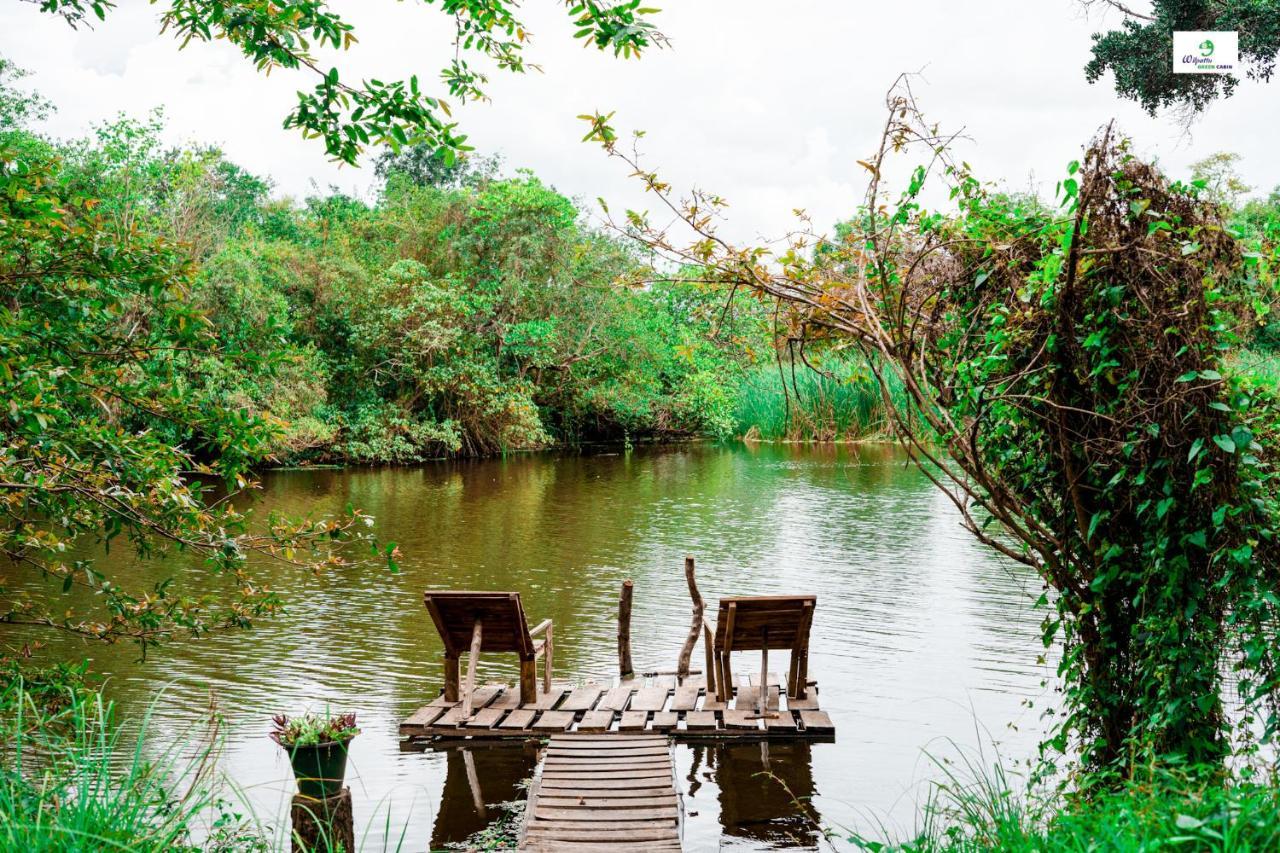 Wilpattu Green Cabin Achchamulai Eksteriør billede