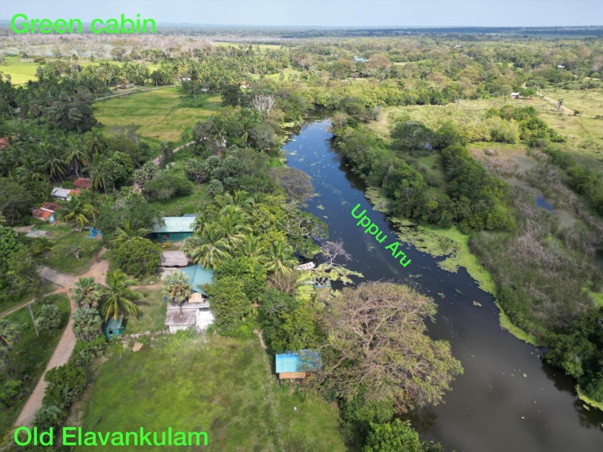 Wilpattu Green Cabin Achchamulai Eksteriør billede