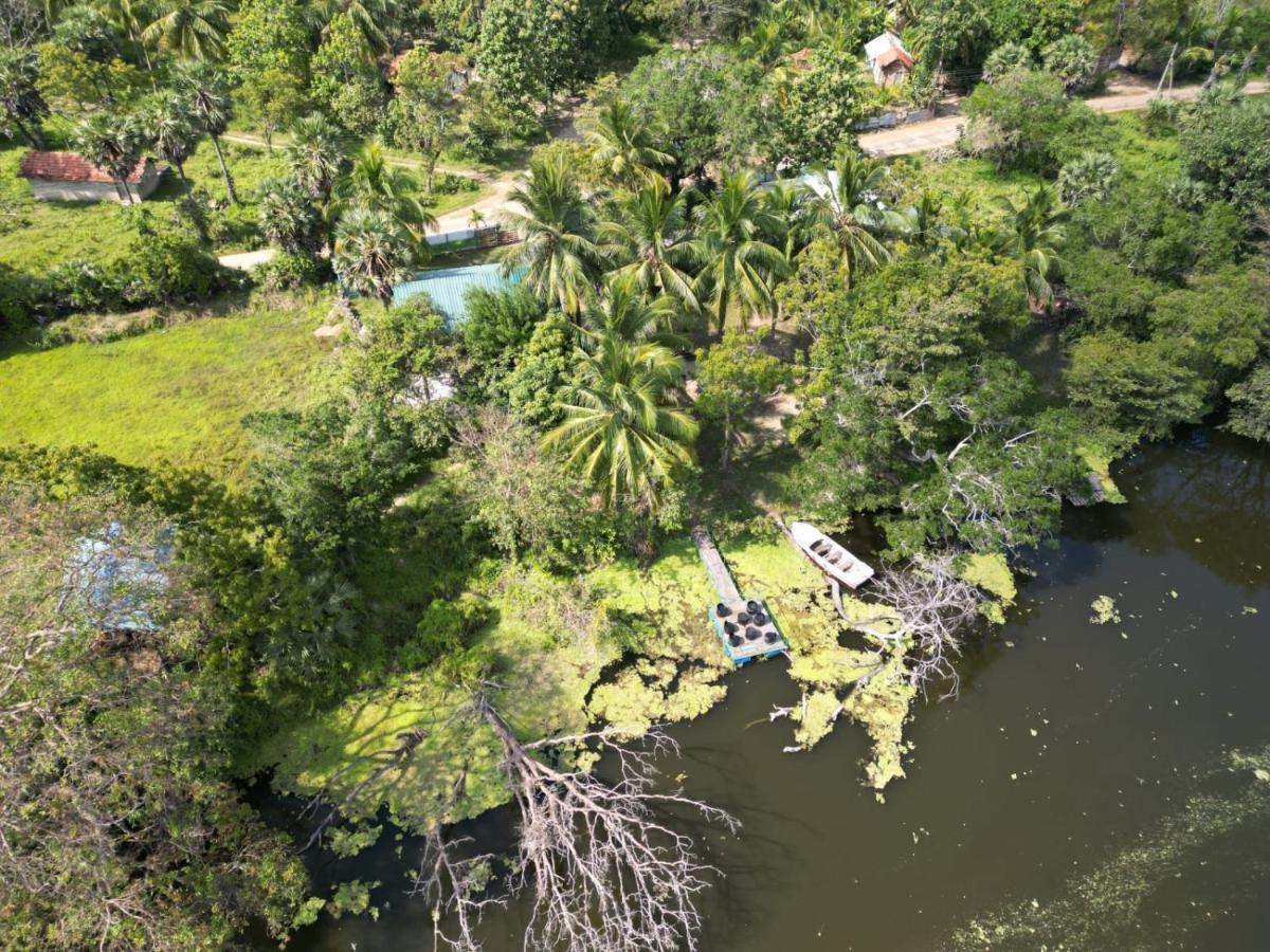 Wilpattu Green Cabin Achchamulai Eksteriør billede