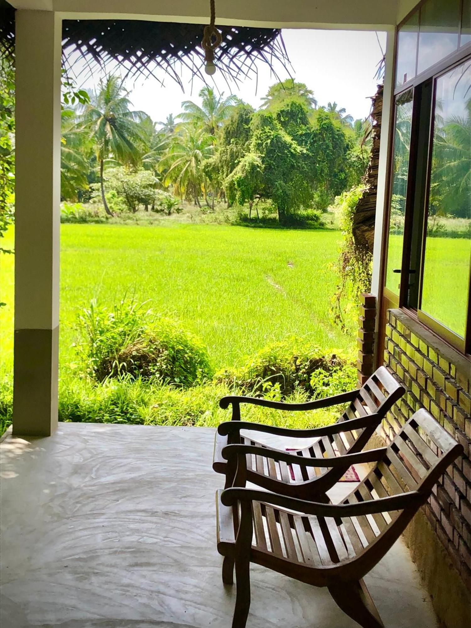 Wilpattu Green Cabin Achchamulai Eksteriør billede