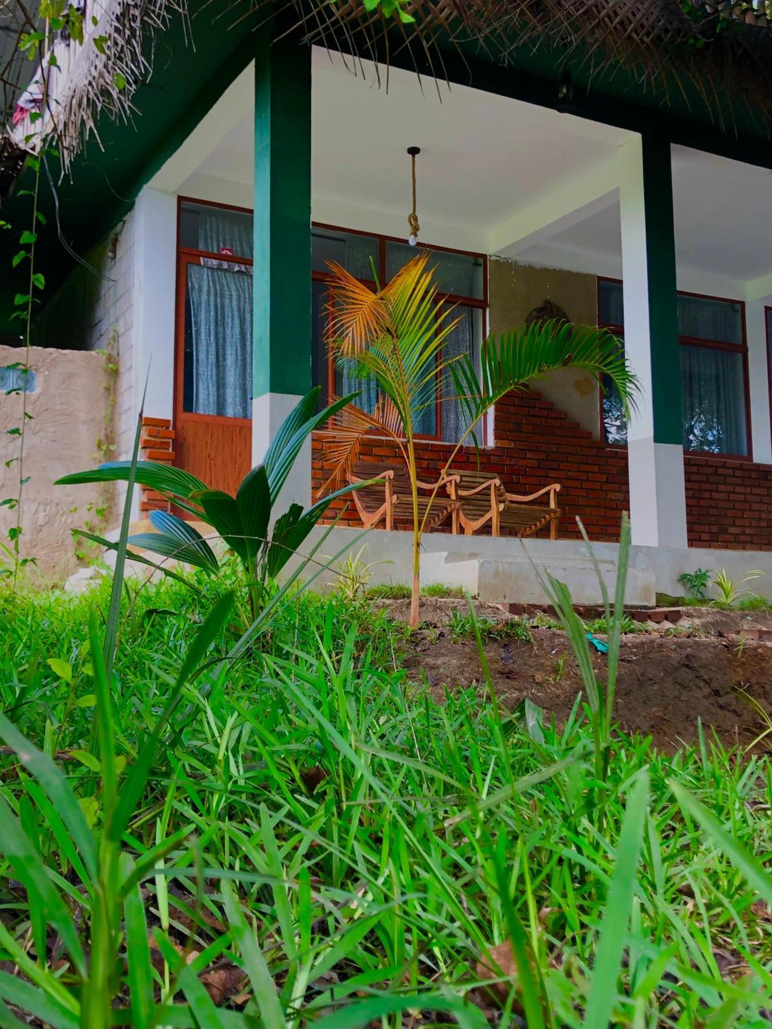 Wilpattu Green Cabin Achchamulai Eksteriør billede