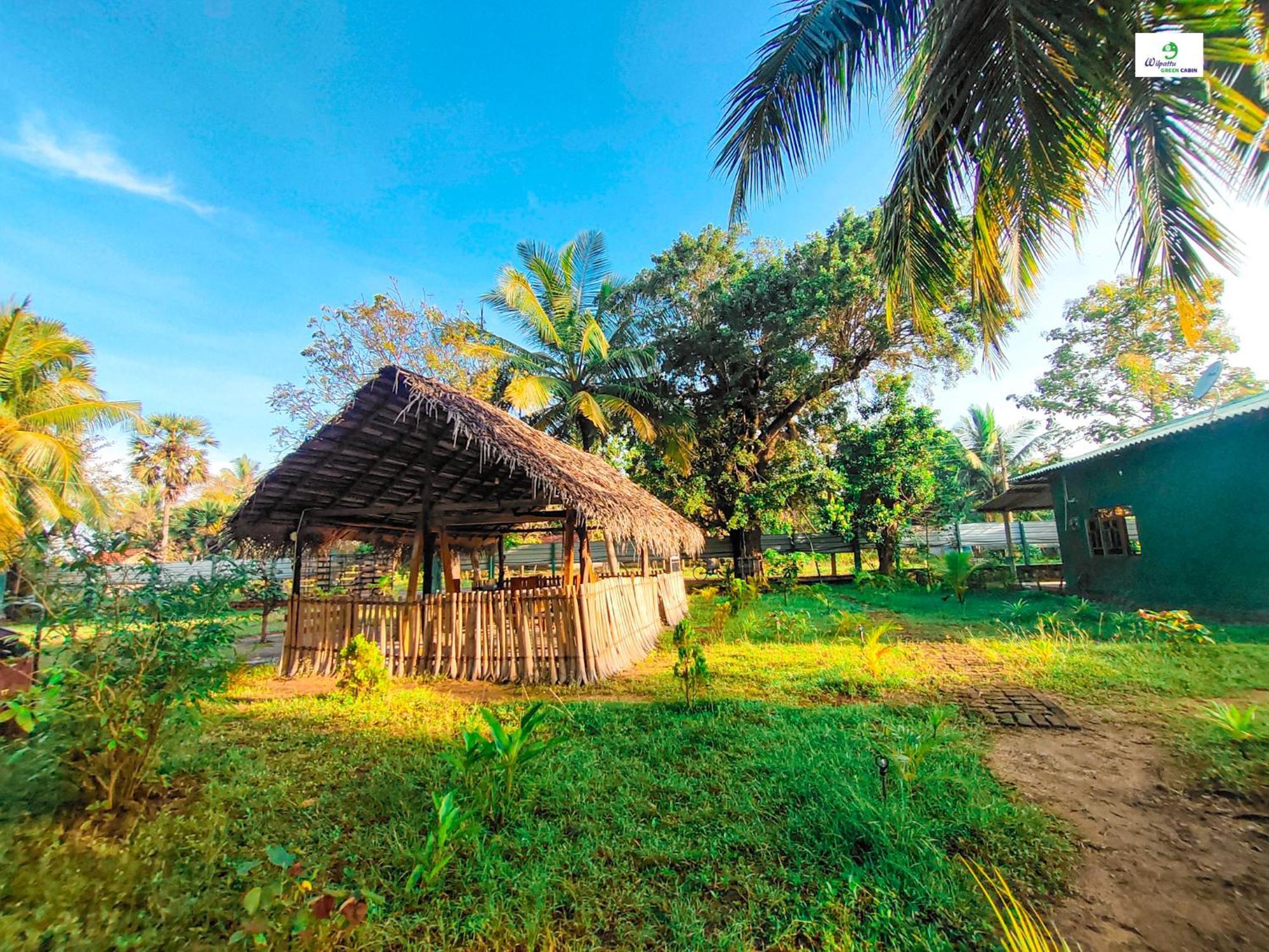 Wilpattu Green Cabin Achchamulai Eksteriør billede